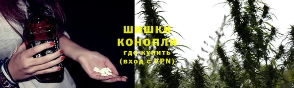 бошки Алзамай