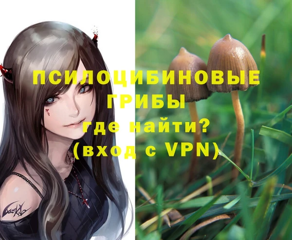 каннабис Алексин