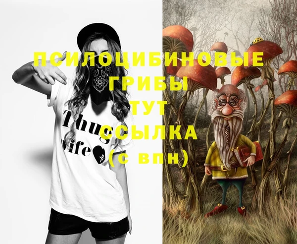герыч Алексеевка