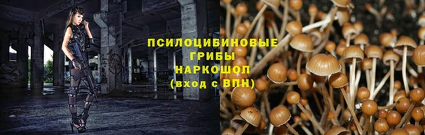 бошки Алзамай