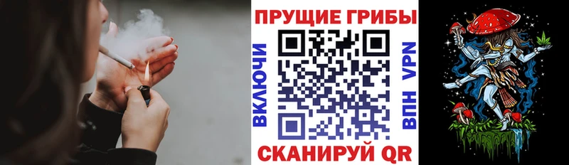 Псилоцибиновые грибы прущие грибы  Кочубеевское 